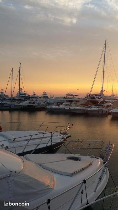 Ferretti 36 ' Bateau à Quai Vieux-port Festival La Croisette Botel Cannes